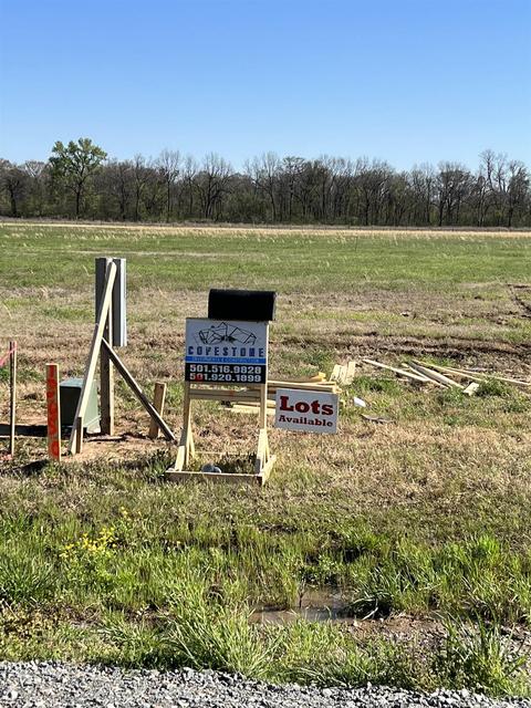 13117 Smarty Jones Dr, Scott, AR 72142 photo 2