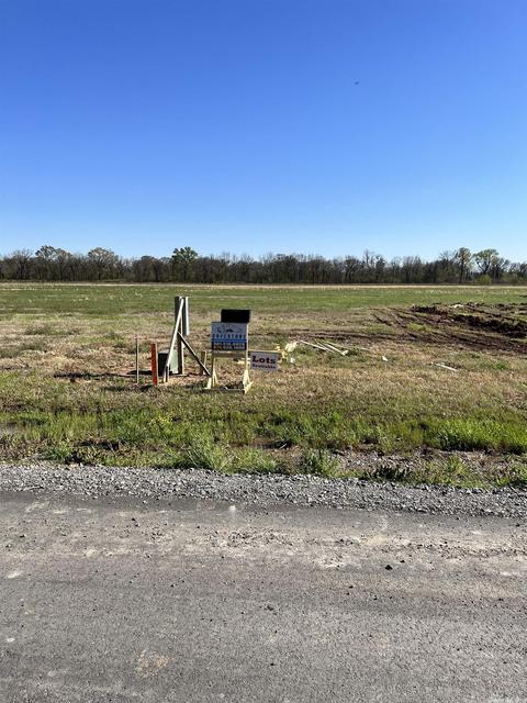 13117 Smarty Jones Dr, Scott, AR 72142 photo 1