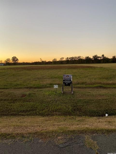 13117 Smarty Jones Dr, Scott, AR 72142 photo 3