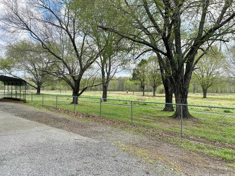 245 E James Rd, Clinton, AR 72031 photo 4