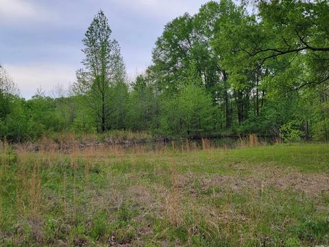 58 Cypress Loop, Vilonia, AR 72173 photo 16