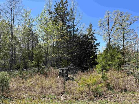 75 Hawks Circle, Edgemont, AR 72044 photo 2