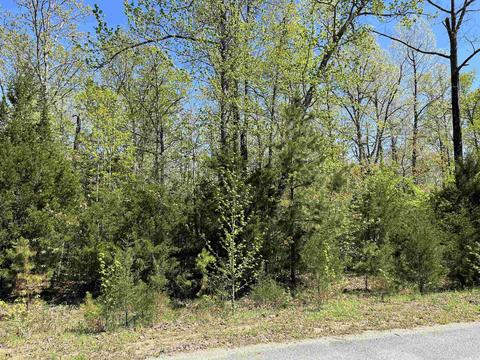 75 Hawks Circle, Edgemont, AR 72044 photo 3