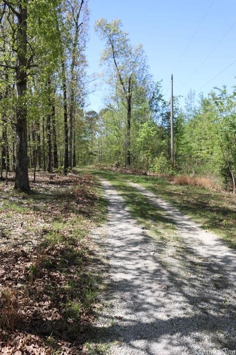 432 Wolf King Rd, Mountain View, AR 72560 photo 30