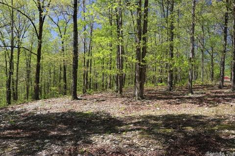 432 Wolf King Rd, Mountain View, AR 72560 photo 9