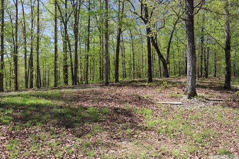 432 Wolf King Rd, Mountain View, AR 72560 photo 8