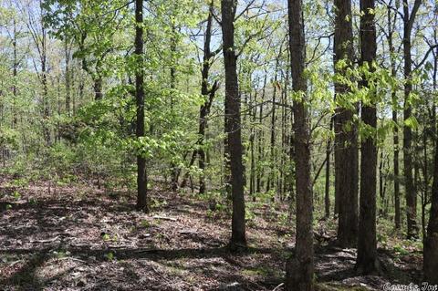 432 Wolf King Rd, Mountain View, AR 72560 photo 10