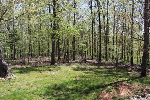 432 Wolf King Rd, Mountain View, AR 72560 photo 26