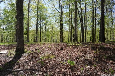 432 Wolf King Rd, Mountain View, AR 72560 photo 5