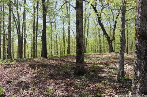 432 Wolf King Rd, Mountain View, AR 72560 photo 4