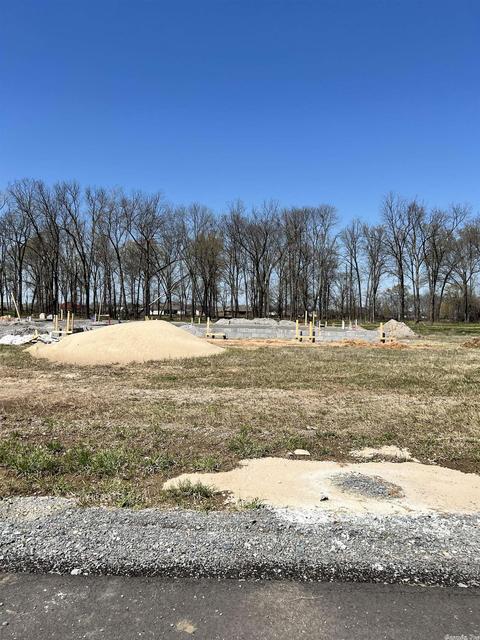 13105 Smarty Jones Dr, Scott, AR 72142 photo 2