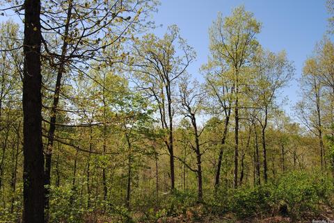 174 Fallen Tree Rd, Marshall, AR 72650 photo 11