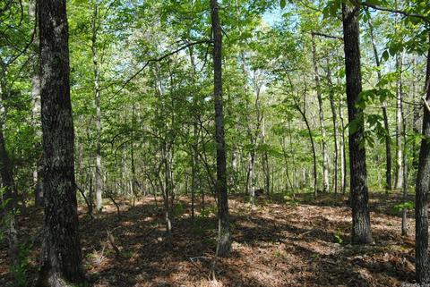 174 Fallen Tree Rd, Marshall, AR 72650 photo 9