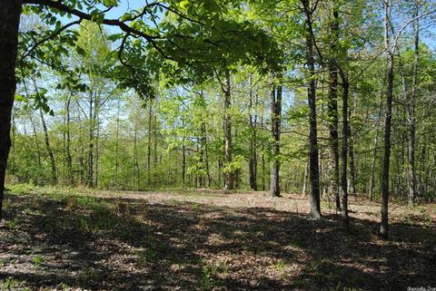 174 Fallen Tree Rd, Marshall, AR 72650 photo 7