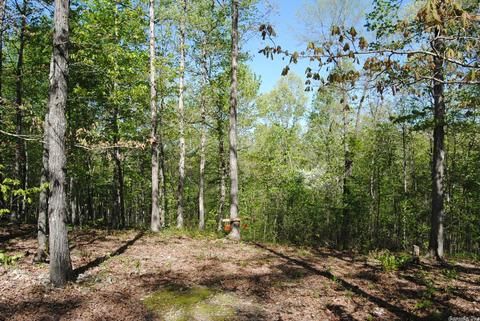 174 Fallen Tree Rd, Marshall, AR 72650 photo 5