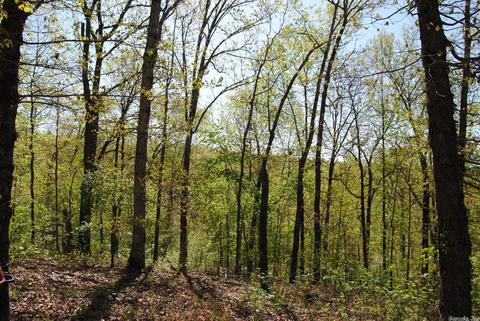 174 Fallen Tree Rd, Marshall, AR 72650 photo 10