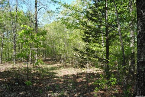 174 Fallen Tree Rd, Marshall, AR 72650 photo 8