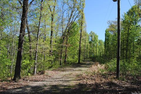 174 Fallen Tree Rd, Marshall, AR 72650 photo 3