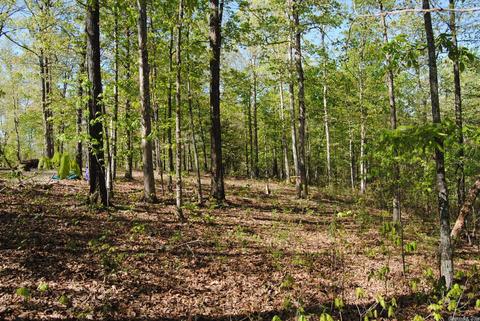 174 Fallen Tree Rd, Marshall, AR 72650 photo 35
