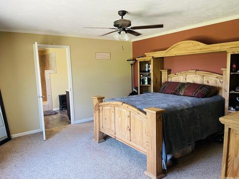 735 Quail Vly, Melbourne, AR 72556 photo 5