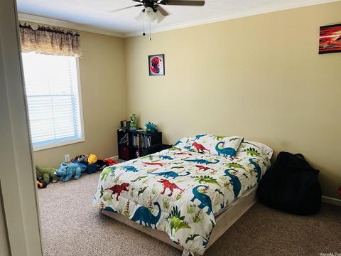 735 Quail Vly, Melbourne, AR 72556 photo 13