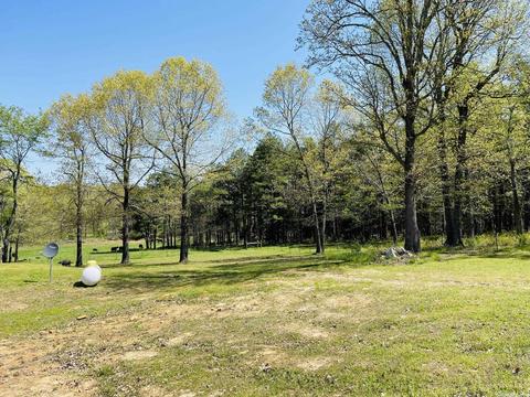 735 Quail Vly, Melbourne, AR 72556 photo 24