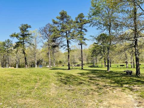 735 Quail Vly, Melbourne, AR 72556 photo 25