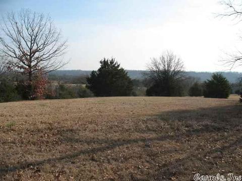 11 Windswept Pass Dr, Greenbrier, AR 72058 photo 1
