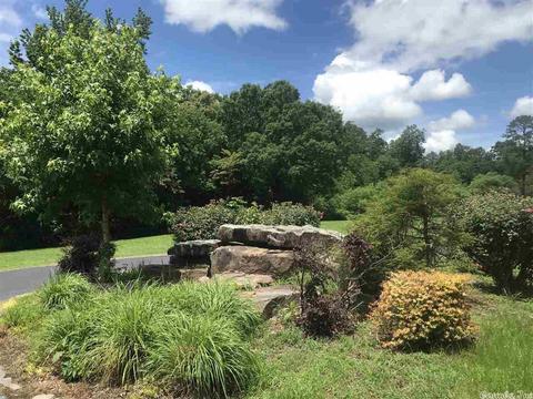 229 Golden Rd, Mount Ida, AR 71957 photo 3