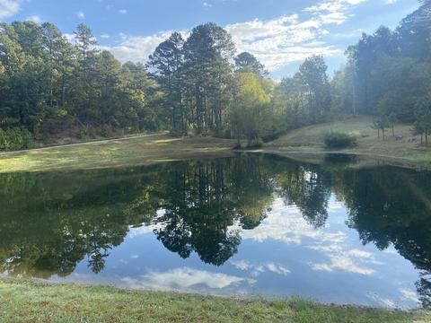 229 Golden Rd, Mount Ida, AR 71957 photo 40