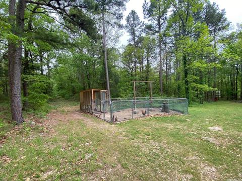 200 Evergreen Ln, Marcella, AR 72555 photo 21