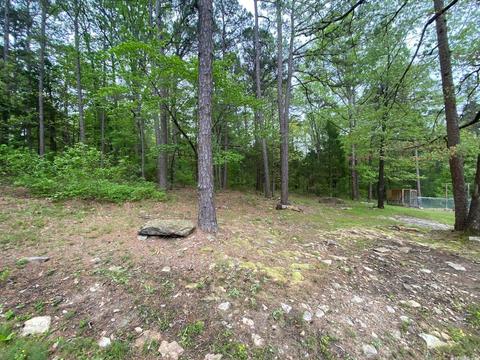 200 Evergreen Ln, Marcella, AR 72555 photo 23