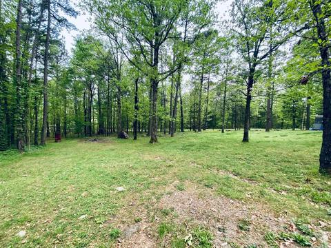 200 Evergreen Ln, Marcella, AR 72555 photo 20