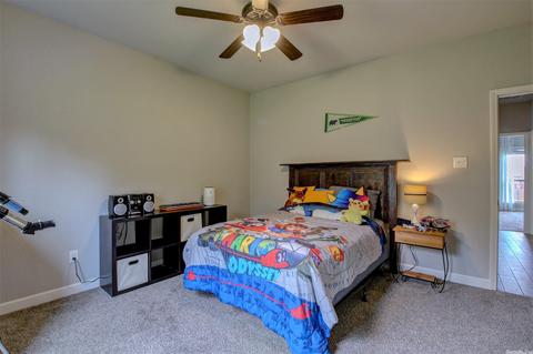 139 Hudson Branch Dr, Austin, AR 72007 photo 43