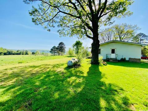 1925 Blue Mountain Rd, Timbo, AR 72680 photo 20