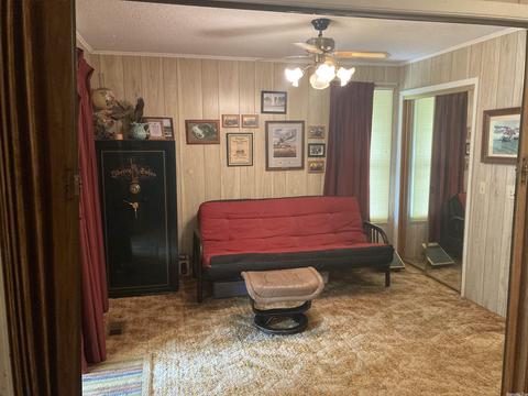 420 N Riverview, Mountain View, AR 72560 photo 14