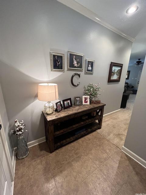 65 Oak Tree Cir, Conway, AR 72032 photo 19