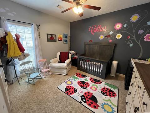 65 Oak Tree Cir, Conway, AR 72032 photo 20
