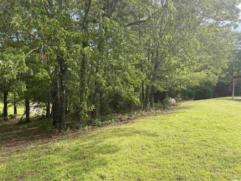 178 Sunbeam, Royal, AR 71968 photo 12