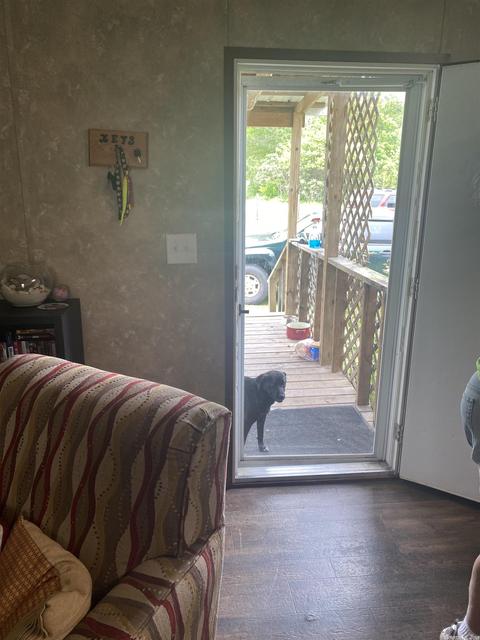 10780 Loblolly, Bauxite, AR 72011 photo 8