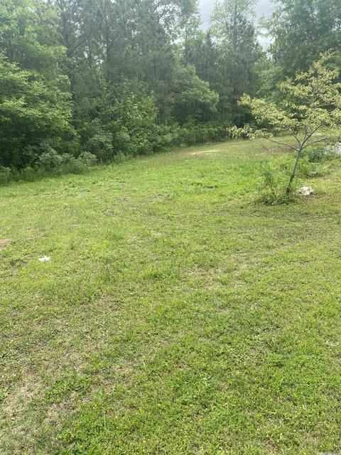 10780 Loblolly, Bauxite, AR 72011 photo 24
