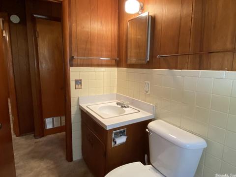 12 E Crescent Dr, Williford, AR 72482 photo 17