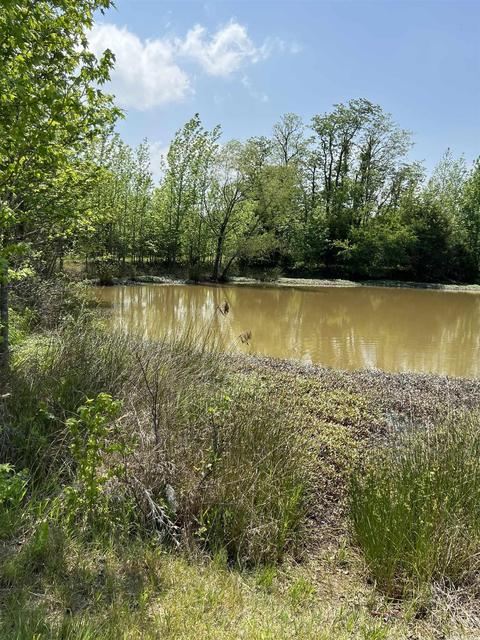 54 Lukefield Dr, Greenbrier, AR 72058 photo 6