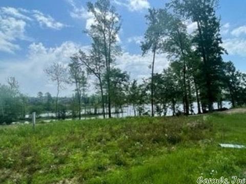 7600 Shoreline Blvd, Benton, AR 72019 photo 18