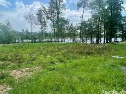 7600 Shoreline Blvd, Benton, AR 72019 photo 8