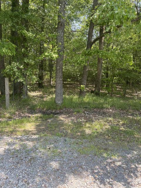 793 Cook St, Ward, AR 72176 photo 8