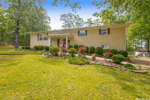 7219 Pinewood Dr, Mabelvale, AR 72103 photo 3