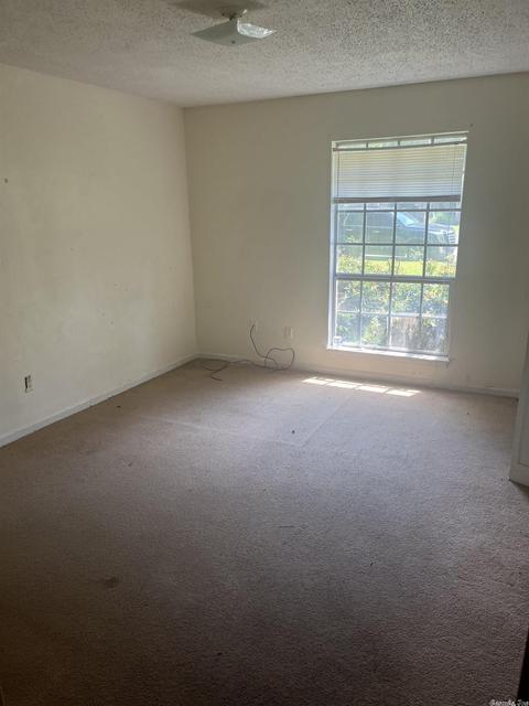1 Lone Wolf Cv, Pine Bluff, AR 71603 photo 3