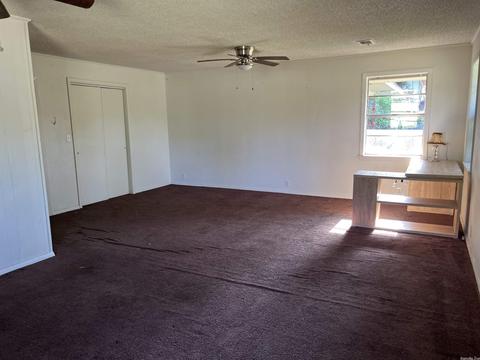 217 E Thompson St, Amity, AR 71921 photo 19