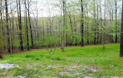 300 Glory Rd, Mountain View, AR 72560 photo 30